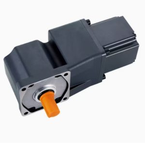 Gear Motor