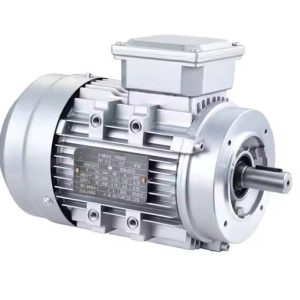 AC Induction Motor