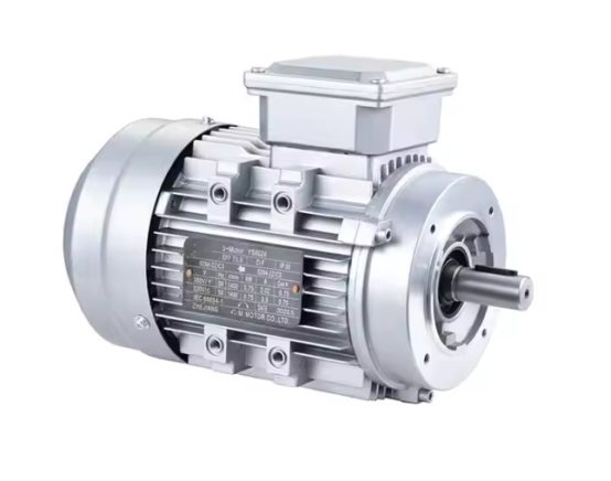 AC Induction Motor